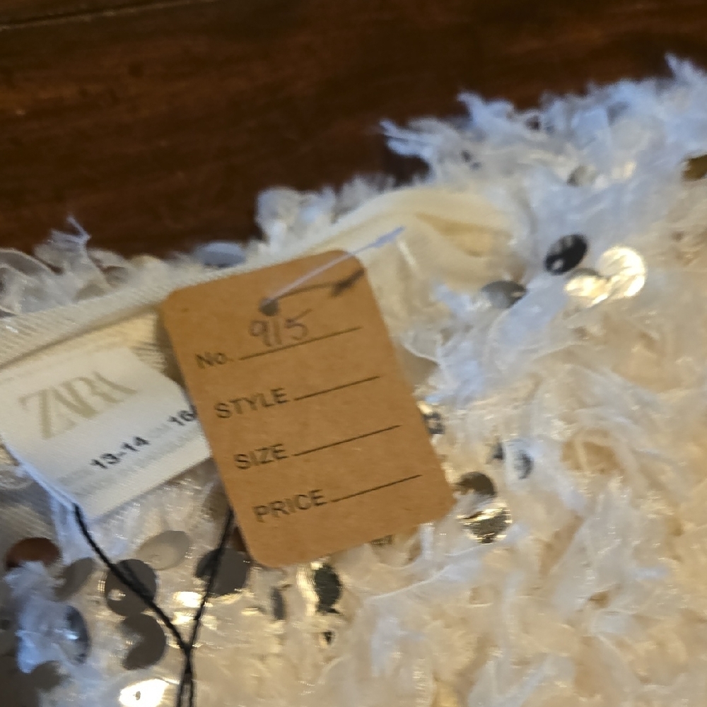 Zara Cream Sequin Top - Picture 5 of 12